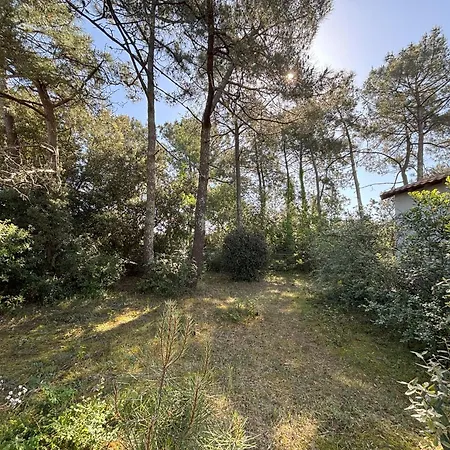 Avec Grand Terrain Entoure De Pins Ideal Pour Les Amoureux De La Nature La Tranche-sur-Mer