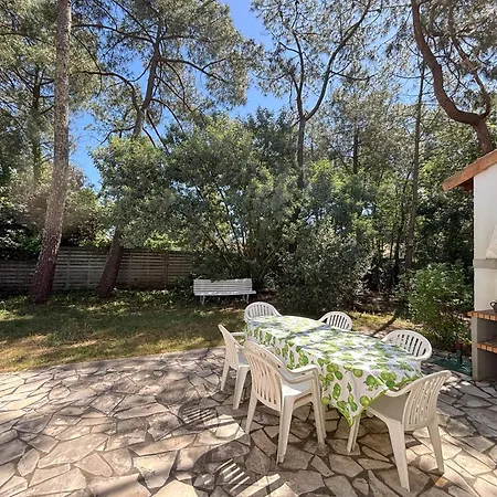 Avec Grand Terrain Entoure De Pins Ideal Pour Les Amoureux De La Nature Holiday home